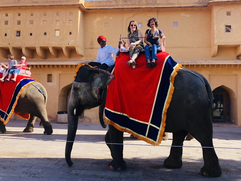 Maharajas and palaces of Rajasthan