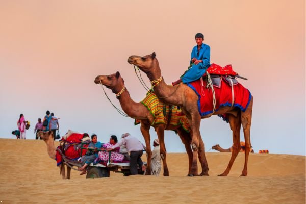 Thar Desert
