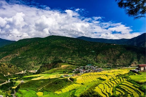Punakha1