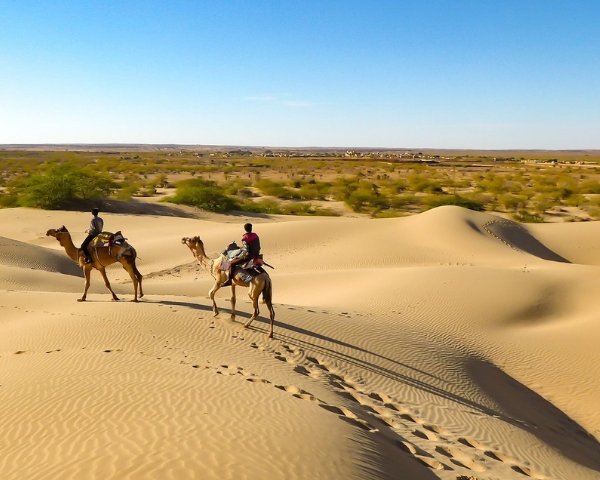 Thar Desert