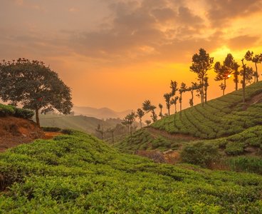Periyar