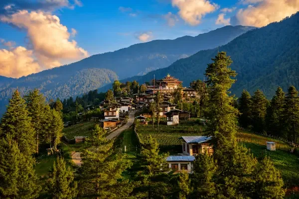 DAY 3: Thimphu - Gangtey (150 km, about 5h30 drive)