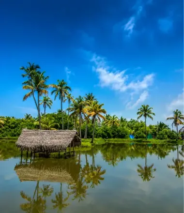 Complete South India