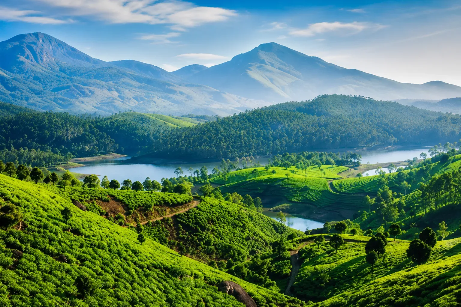 DAY 6: MADURAI / MUNNAR – 160 km(100 km / approx. 4h)