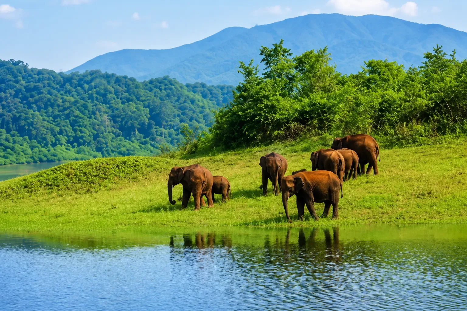 DAY 7: MUNNAR / THEKKADY – 100 km
